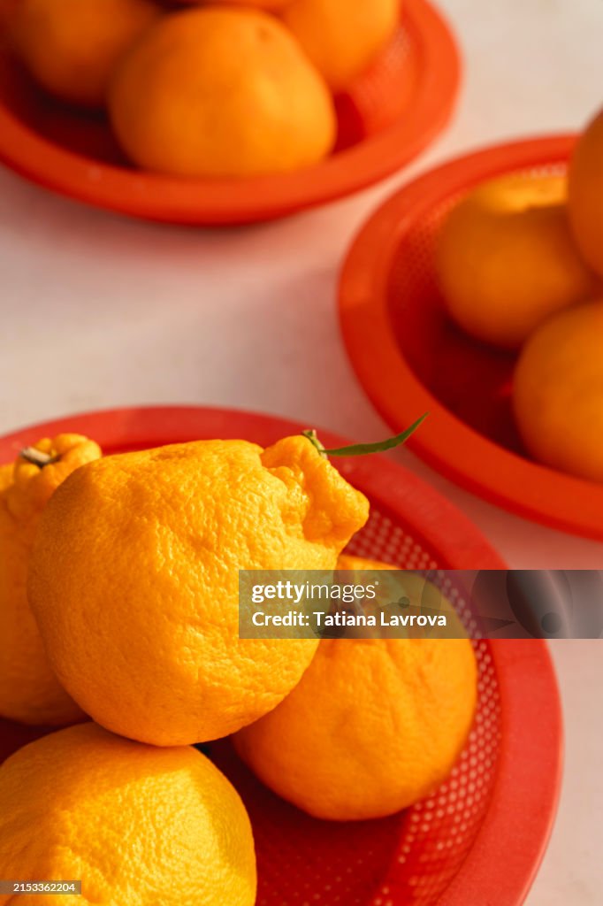 Bright Oranges in Red Plastic Baskets on White Table in Daylight. Variety of beautiful juicy orange and yellow tangerines at a local street vendor.