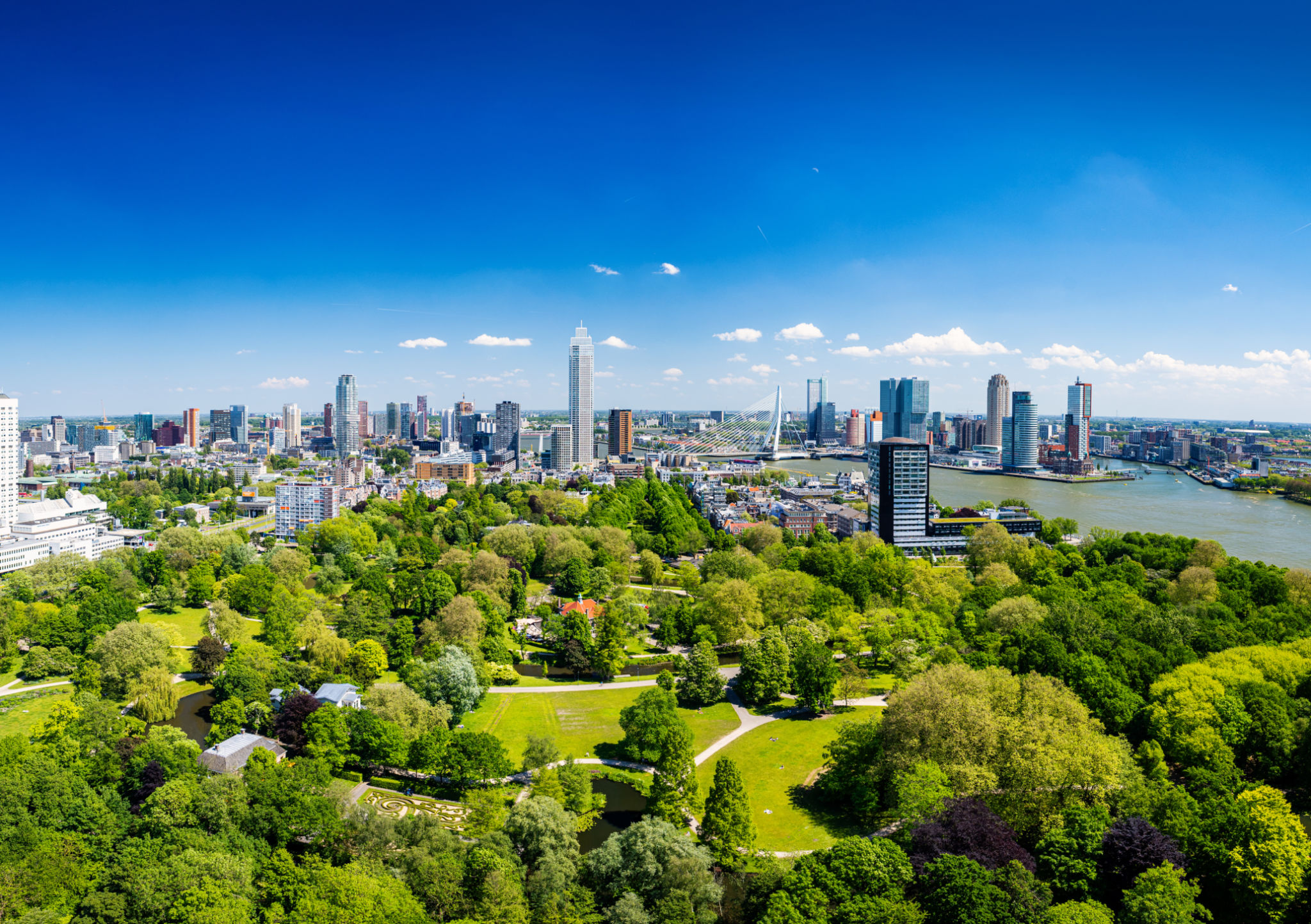 rotterdam business