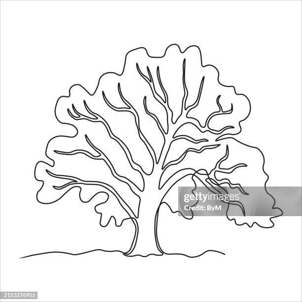 continuous line drawing of tree on white backgroud - tree line drawing stock illustrations
