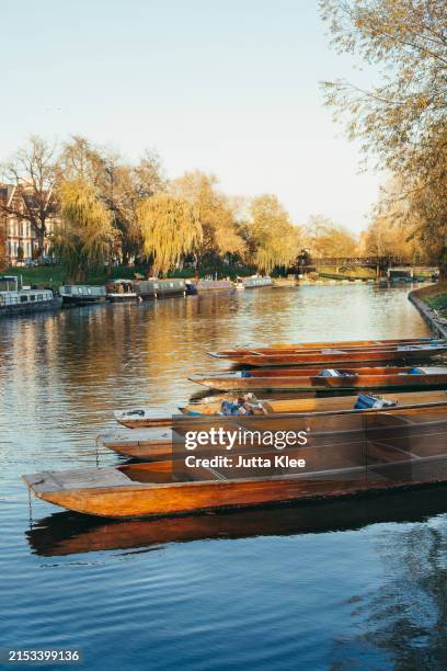 punt boats on river cam, cambridge, england, united kingdom - cambridge stock pictures, royalty-free photos & images