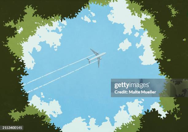 illustrazioni stock, clip art, cartoni animati e icone di tendenza di view from below airplane flying in blue sky as seen from opening in trees - inquadratura dal basso