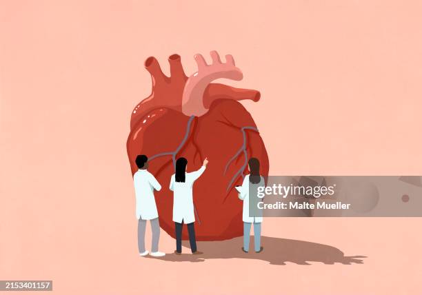 cardiologists examining large heart on pink background - cardiovascular system stock illustrations