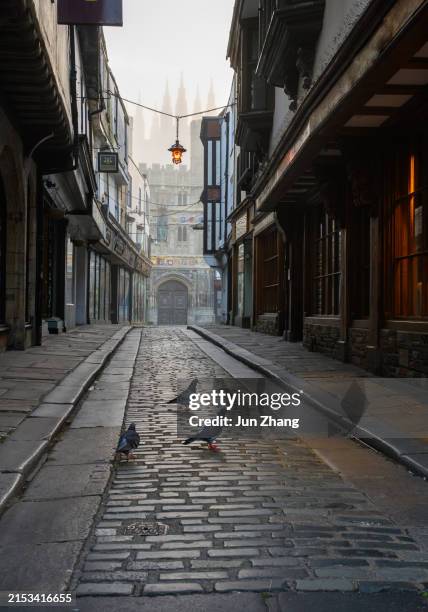 pigeons on cobblestone street in early moring mist, with spires and facade of canterbury cathedral in background - canterbury england stock pictures, royalty-free photos & images