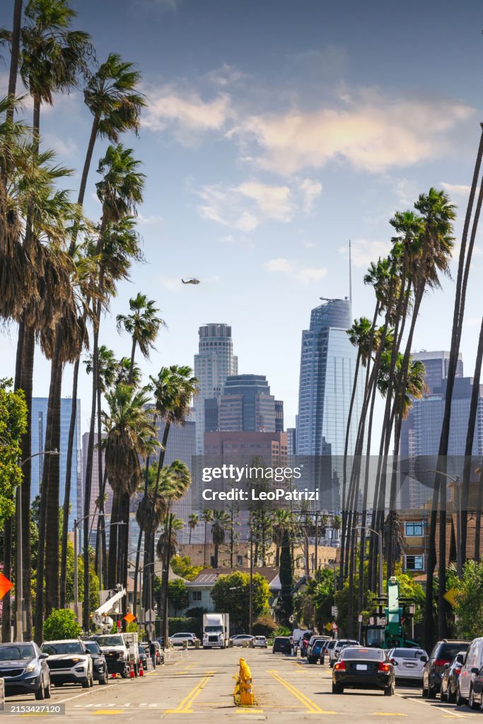 High palm trees to Downtown Los Angeles skyscrapers