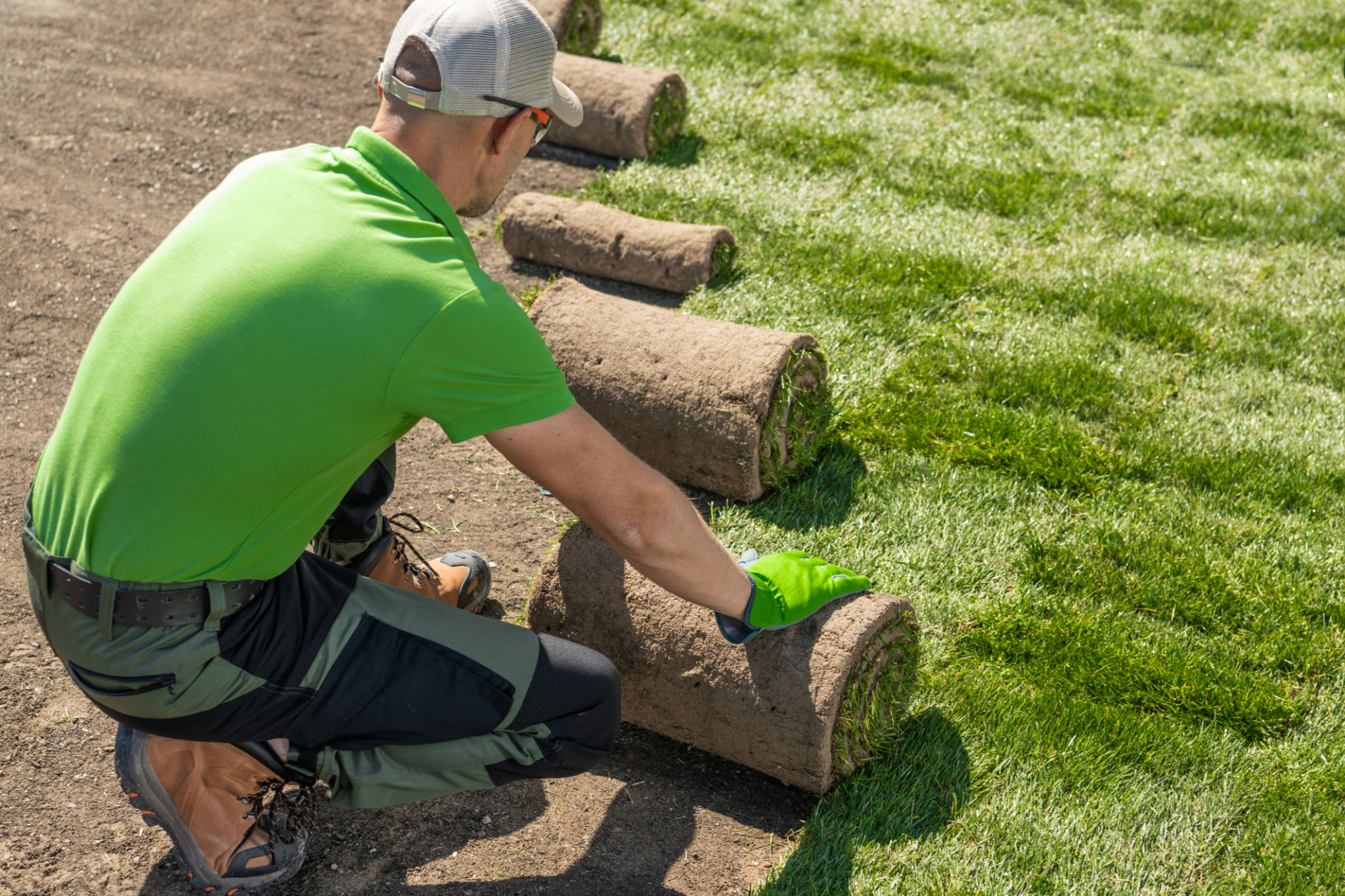 landscaping improvement