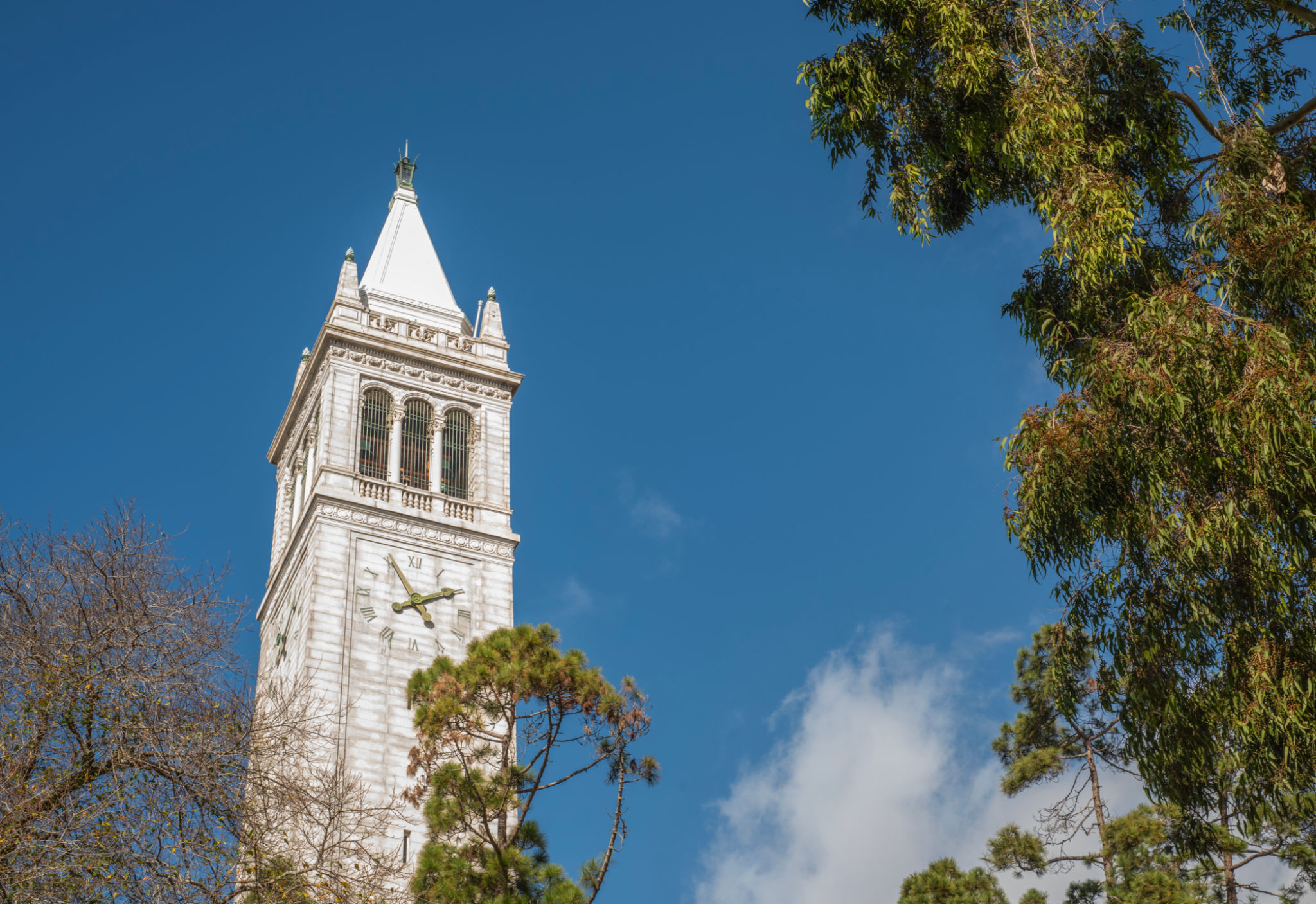 nonprofit education