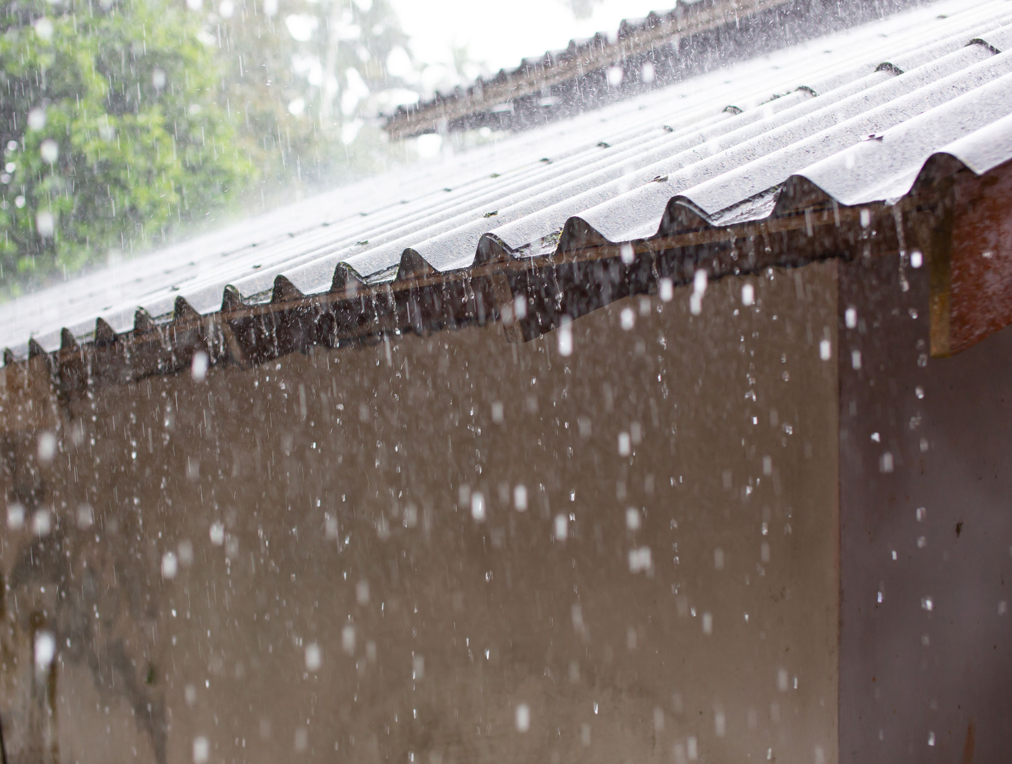 rainy season