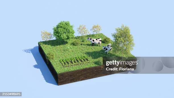 agroforestry concept - sustainable development goals stock pictures, royalty-free photos & images