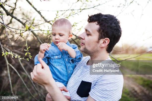 Portrait of father holding little toddler boy, showing him buds on twig. Family time oudroor during warm spring day. Father's day concept.