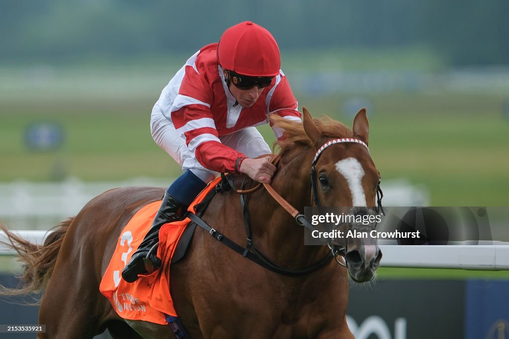 Newbury Races
