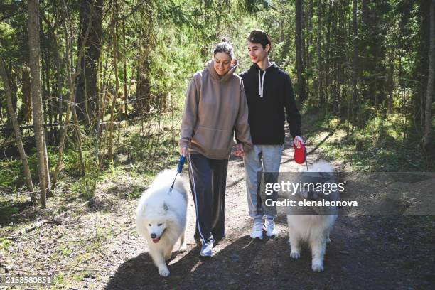 giovane coppia che cammina nella foresta con samoiedo - acaro foto e immagini stock