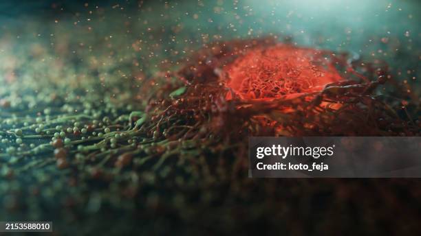 cancer cell view - blood cells microscope stock pictures, royalty-free photos & images