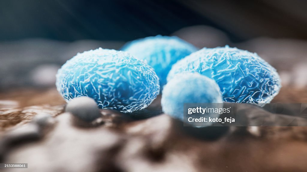 Viral Infection Monkeypox Virus