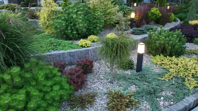 https://media.gettyimages.com/id/2153590657/video/diverse-plant-collection-in-full-bloom-at-rockery-garden-led-outdoor-lighting.jpg?b=1&s=640x640&k=20&c=-TEwY6Ur6ZiNmsEy7lp1fqSdzxdC9ant0sVC9H8wNAc=