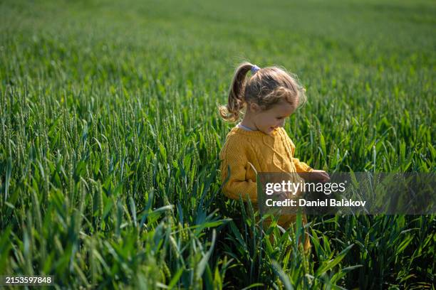 girl in green wheat field in spring. eco agro mind. - esg stock pictures, royalty-free photos & images