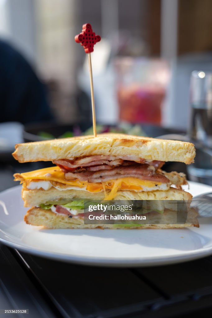 Delicious club sandwich close up.