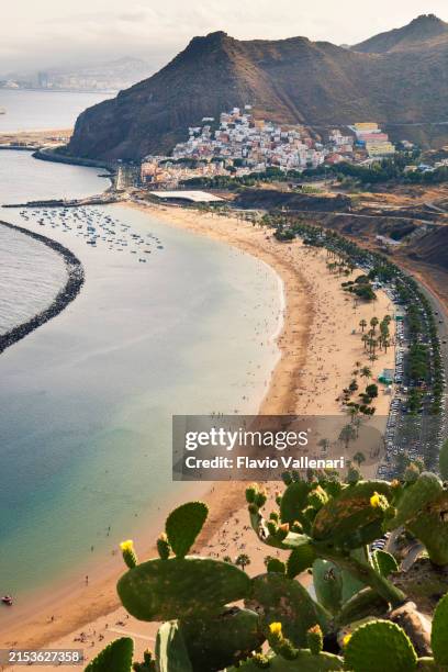 playa de las teresitas, tenerife - canary islands - teneriffa bildbanksfoton och bilder