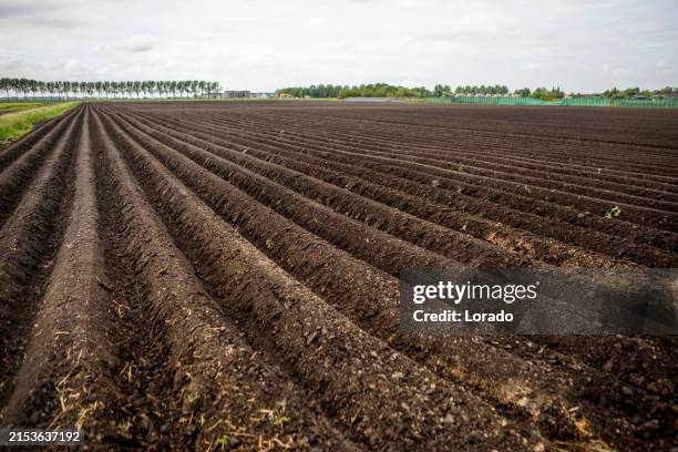 soil levels in the dutch countryside farmland - nitrogen stock pictures, royalty-free photos & images
