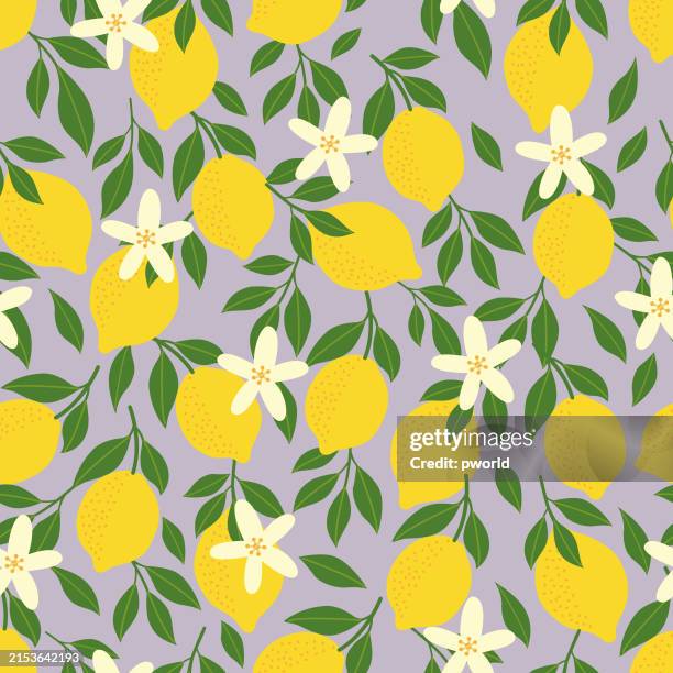 lemon seamless pattern . - fruit loops stock illustrations