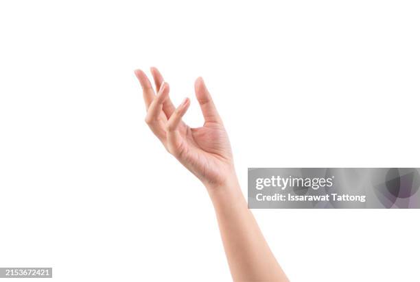 a hand is shown in a white background with a black outline - woman index finger stock pictures, royalty-free photos & images