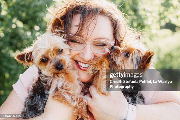 joyful woman embracing her two dogs - yorkshire terrier stock pictures, royalty-free photos & images