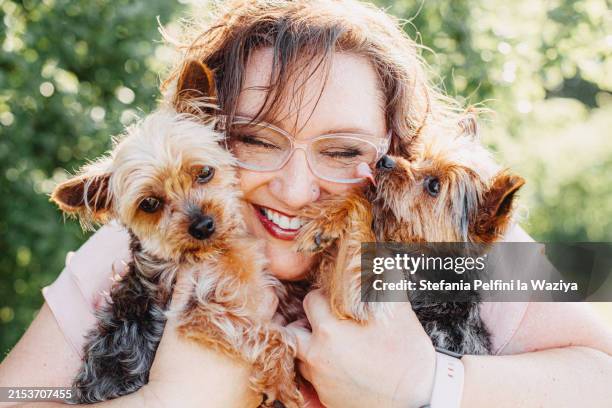 joyful woman embracing her two dogs - yorkshire terrier imagens e fotografias de stock