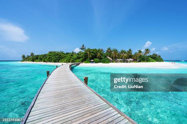 boardwalk into tropical paradise island - isla fotografías e imágenes de stock
