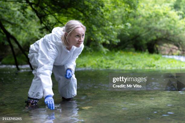 the scientist collects samples of water and vegetation in the river - watervervuiling stockfoto's en -beelden