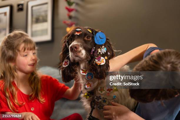 kids putting stickers on the dog - mischievous stock pictures, royalty-free photos & images