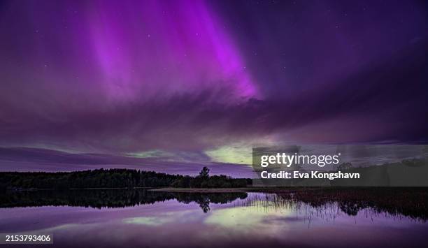 it looked like purple rain in real - exploded view real stock pictures, royalty-free photos & images