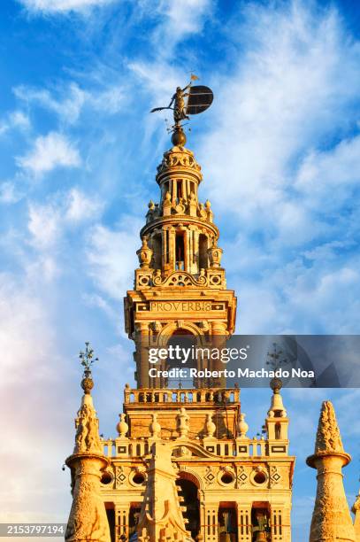 seville cathedral tower - seville cathedral stock pictures, royalty-free photos & images
