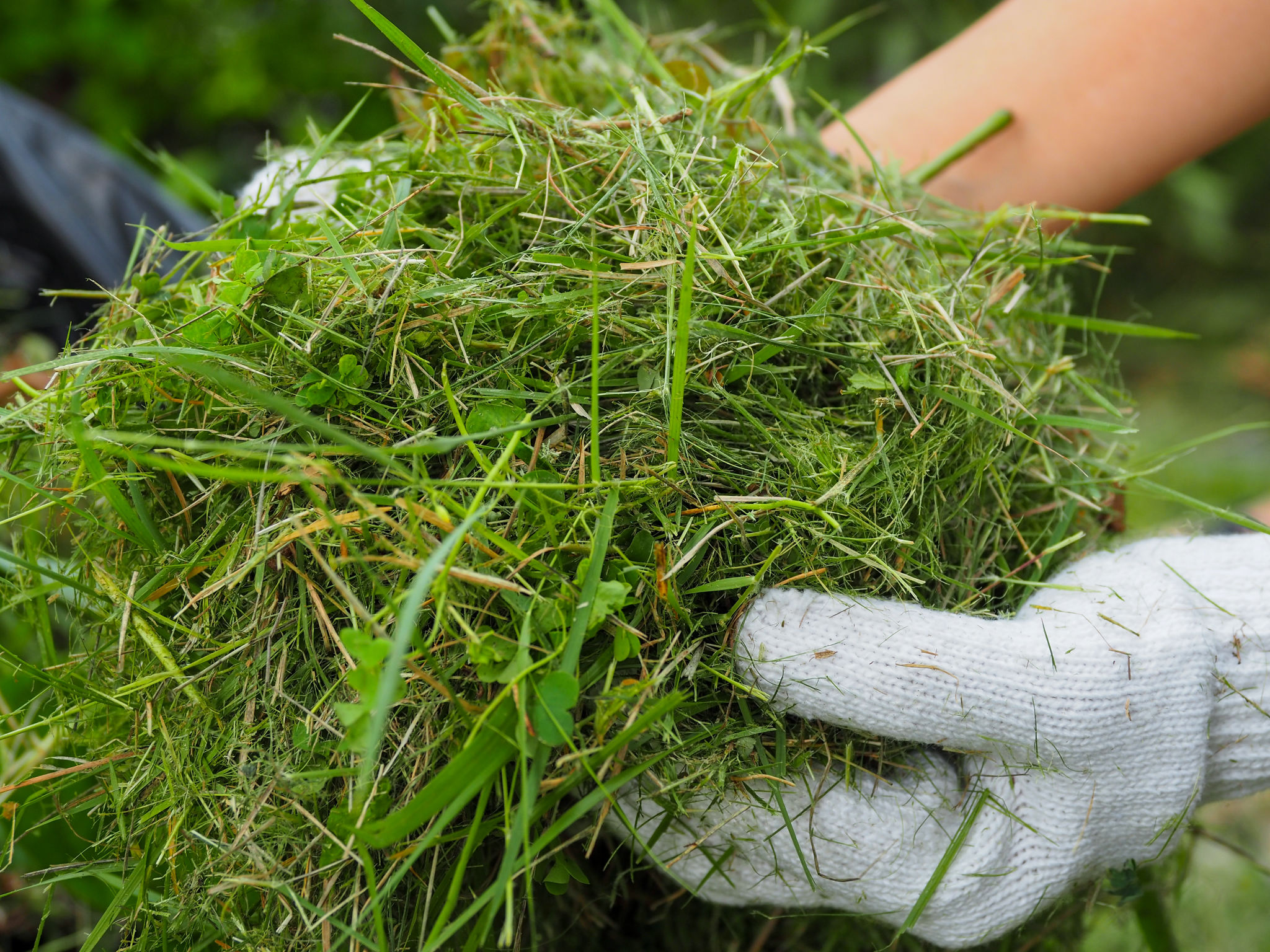 composting safety