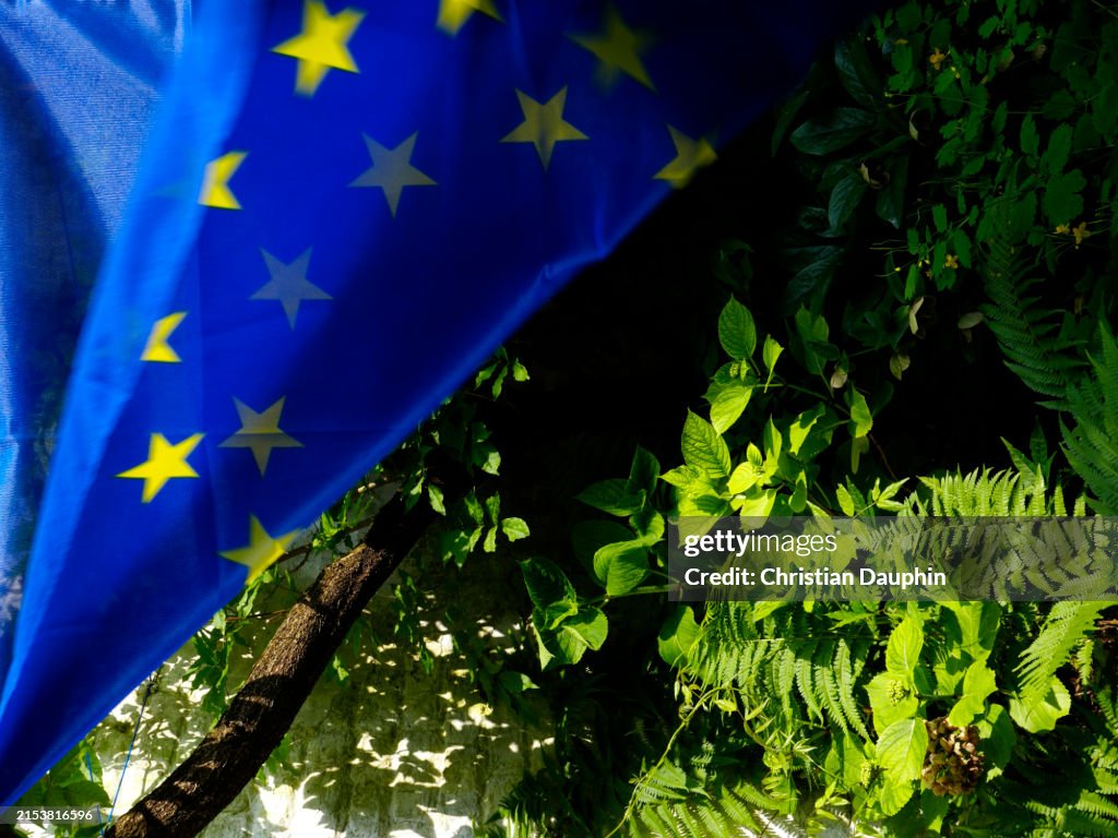 European Union flag, with transparent foliage.