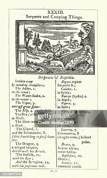 types of serpents and creeping things, dragon, basilisk, snake, vintage illustration, 18th century - common basilisk stock illustrations
