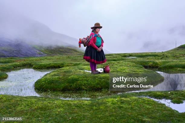 quechua peruvian woman with her baby walking through the mountains on a foggy day in the andes surrounded by lakes to collect water for cooking - peru stock pictures, royalty-free photos & images