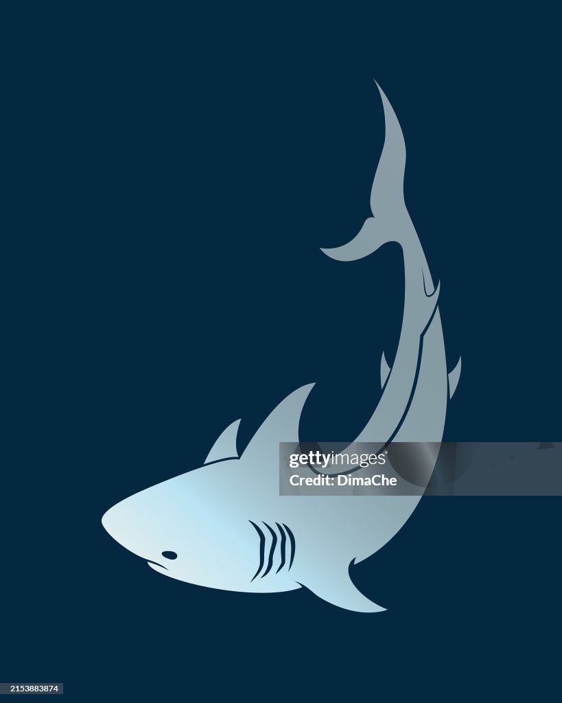 Shark character mascot vector icon