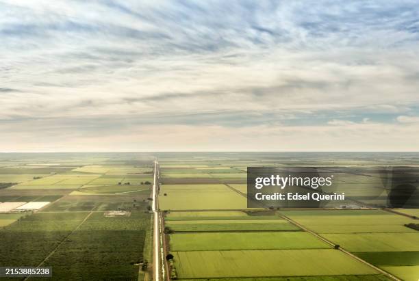 veduta aerea di un campo di grano a obregon, stato di sonora, messico. - ampio foto e immagini stock