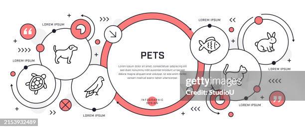 pets infographic design - adoption stock illustrations
