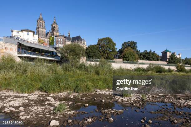 magdeburg historic skyline with famous cathedral at low tide on elbe river (saxony-anhalt, germany) - trockenlandschaft stock-fotos und bilder