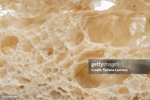 close-up of freshly baked artisan bread showing airy texture in morning light. commercial photography for bakery design projects - carbohydrate structure stock pictures, royalty-free photos & images