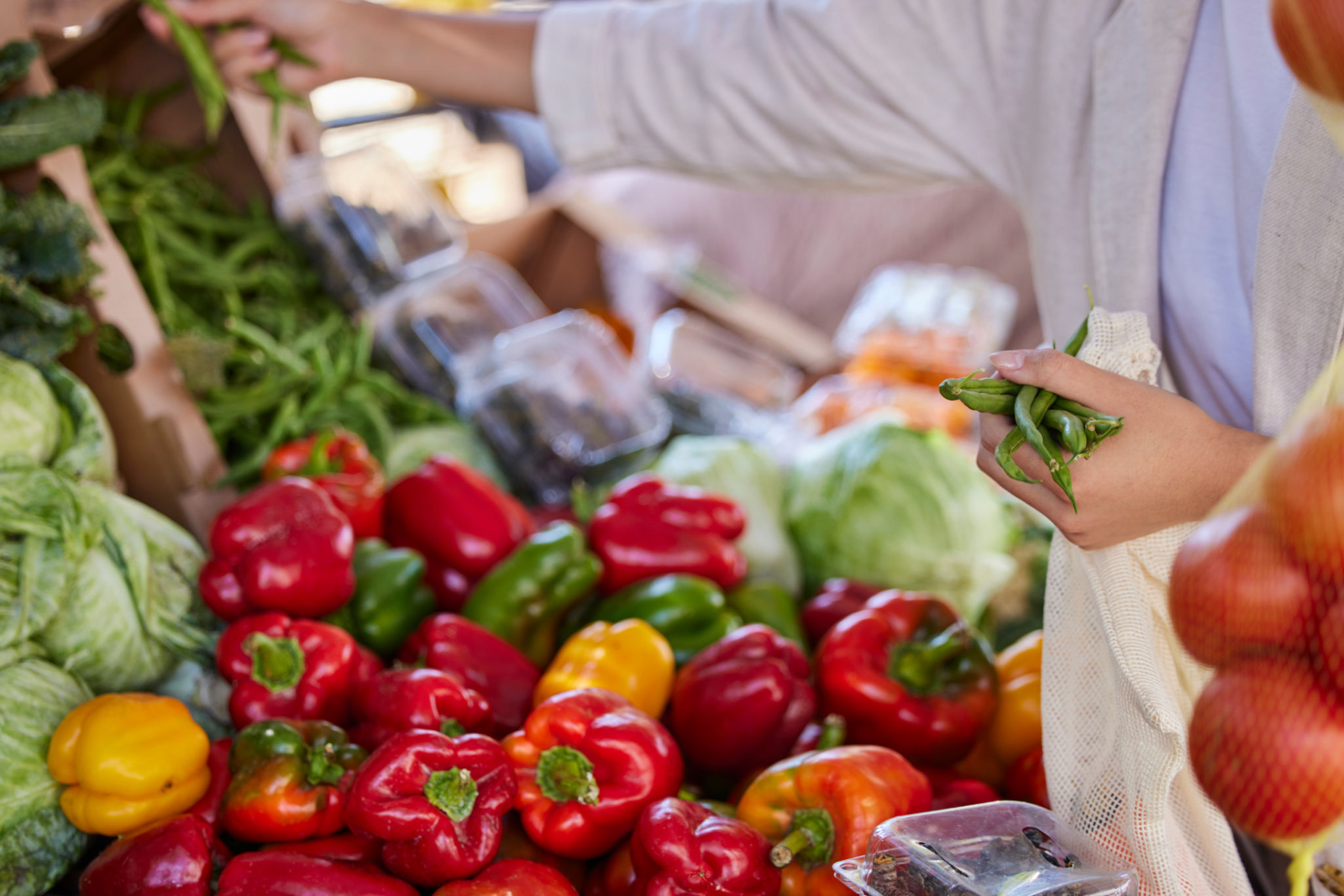 local food suppliers