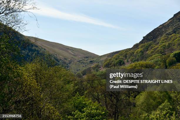Rayadhar Rhayader Photos and Premium High Res Pictures - Getty Images