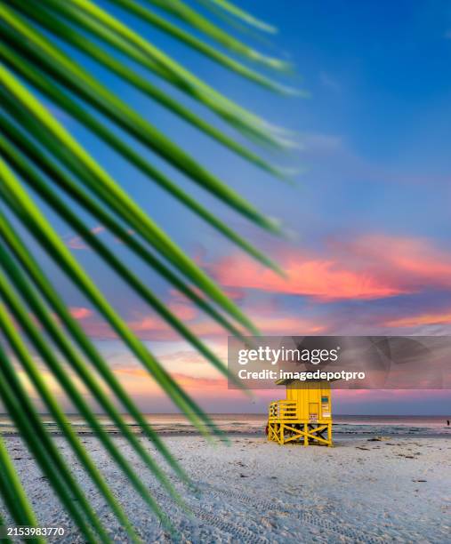 lifeguard hut on tropical sandy beach - florida keys stock pictures, royalty-free photos & images