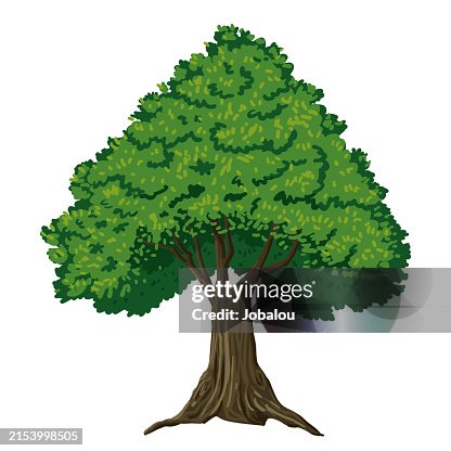 Beautiful Green Triangular Tree With Doodle Leaves Beautiful Green Triangular Tree With Doodle Leaves