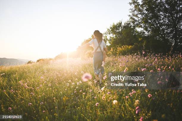 it's time to exploring nature. - wilde bloemen stockfoto's en -beelden