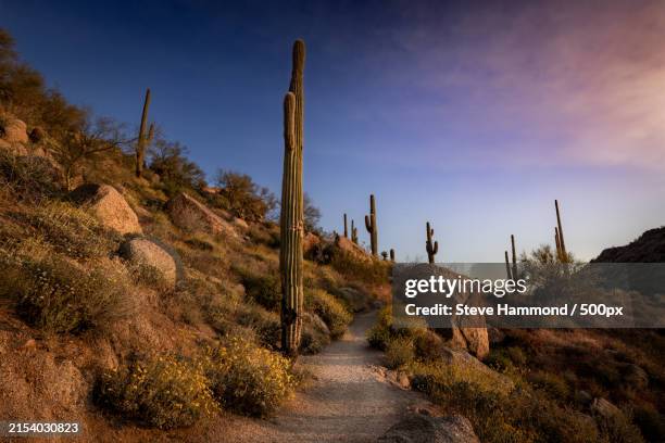 scenic view of land against sky,scottsdale,arizona,united states,usa - scottsdale stock-fotos und bilder