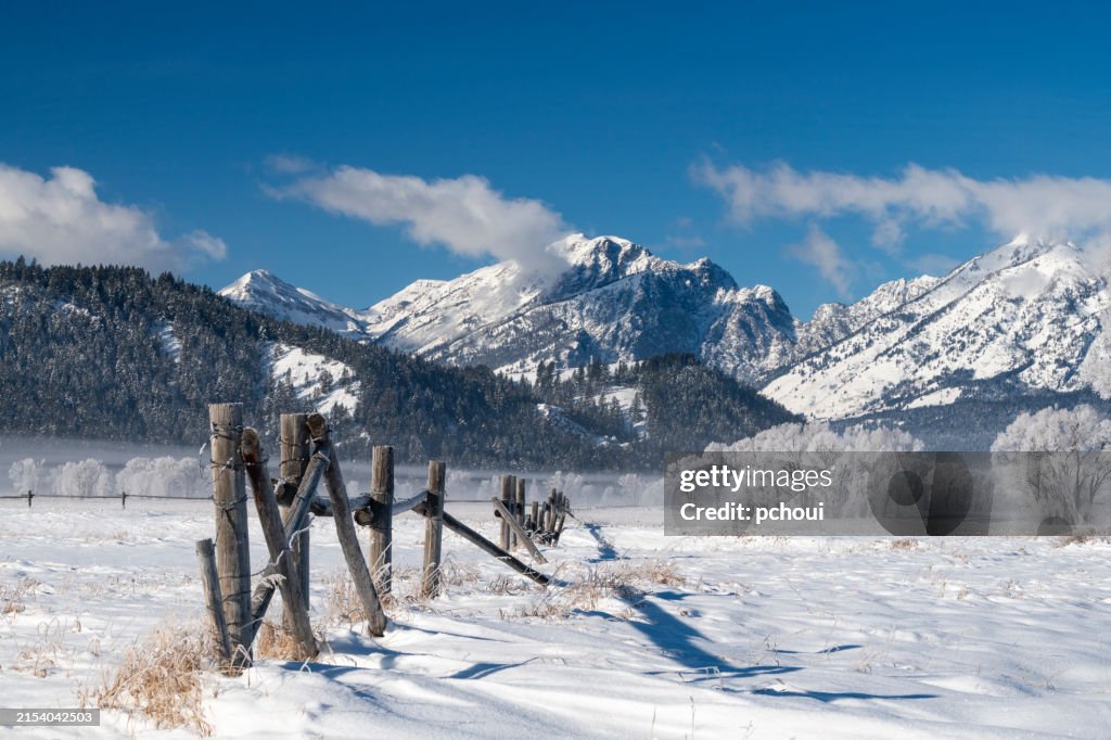 Landscape in Grand Teton