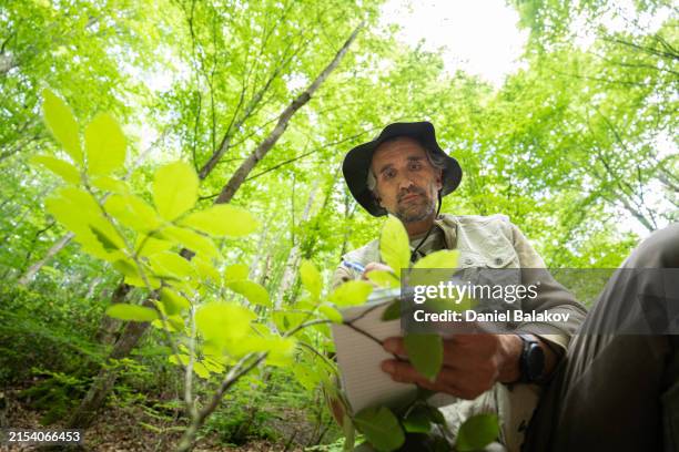 Random Ecologist 346 Institute Of Ecosystem Studies Stock Photos, High-Res Pictures, and ...