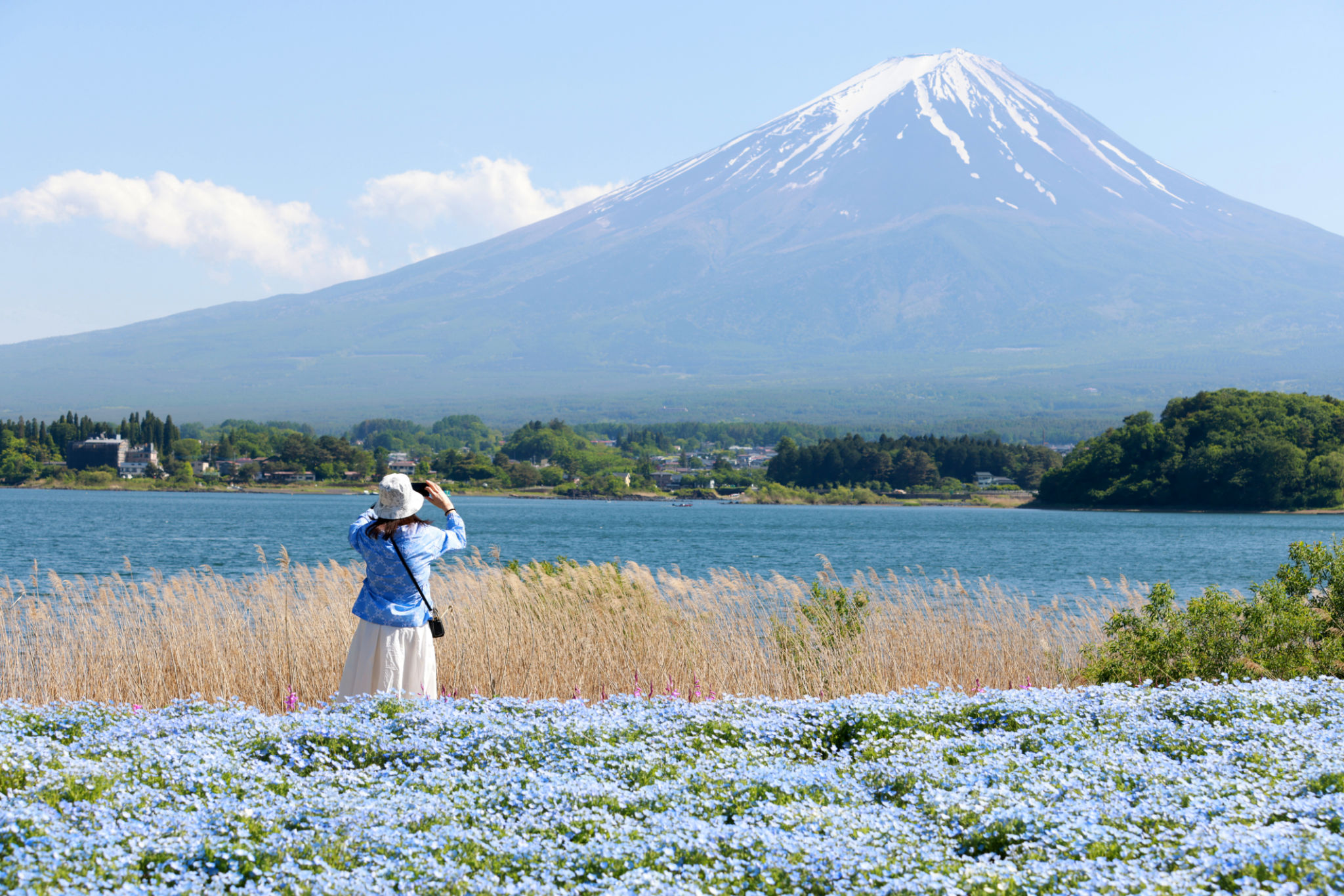 mt fuji weather