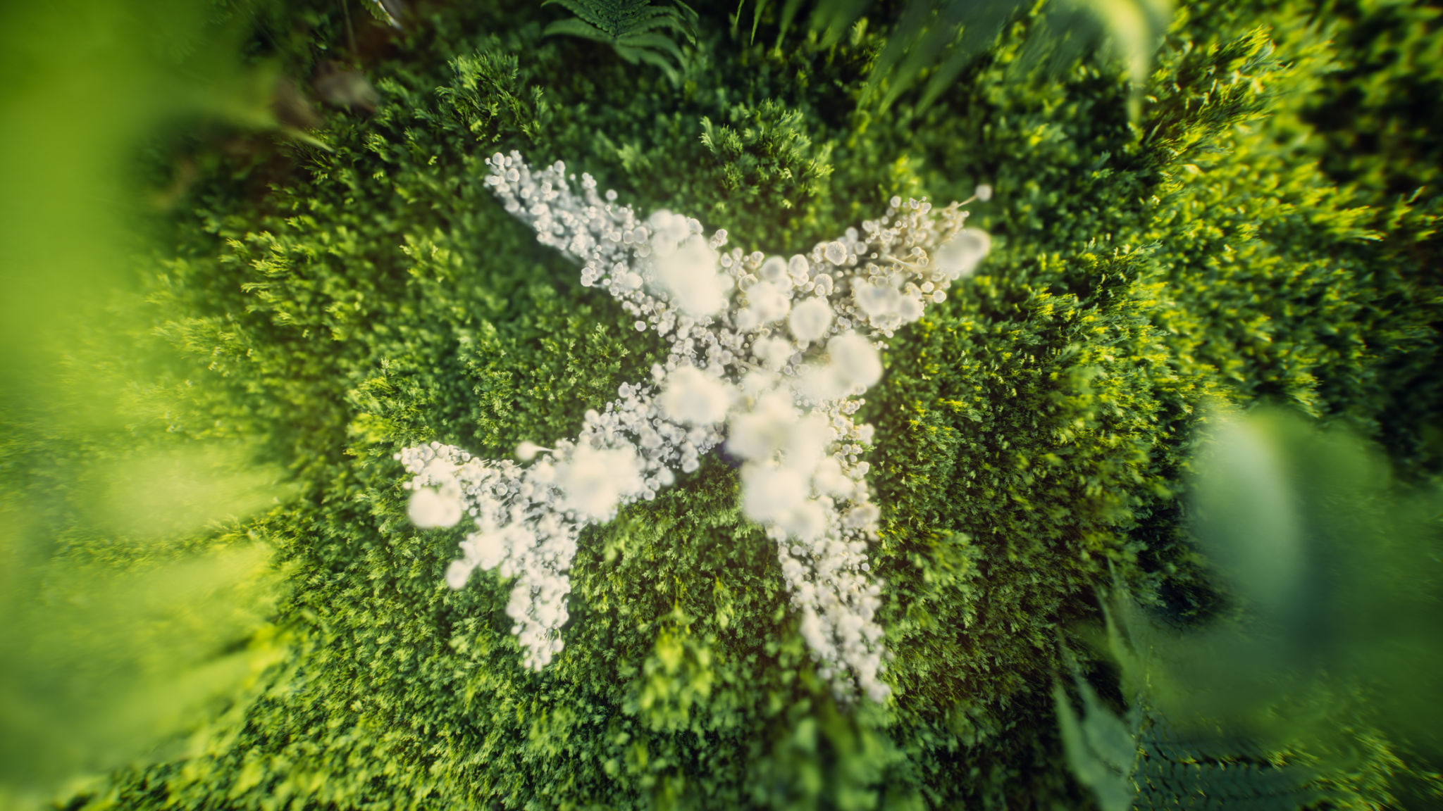 biomimicry technology